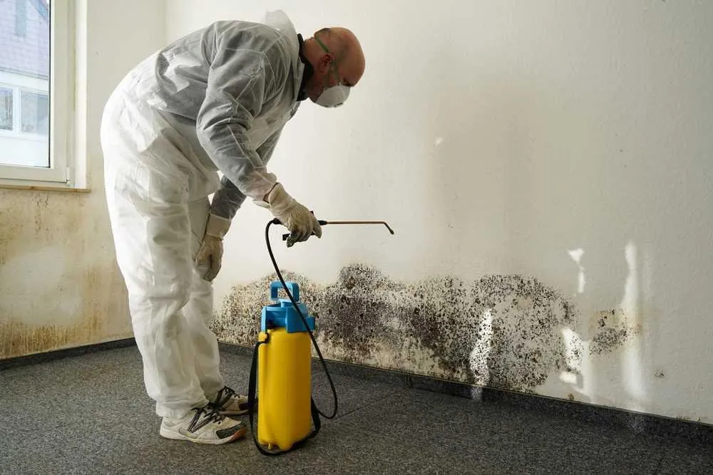 Pure Maintenance Patented Equipment VS Backpack or Handheld Sprayers and the Stuff They Use